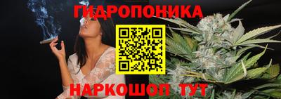 прущие грибы Анжеро-Судженск