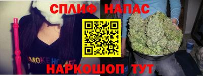 прущие грибы Анжеро-Судженск